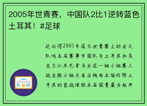 2005年世青赛，中国队2比1逆转蓝色土耳其！#足球